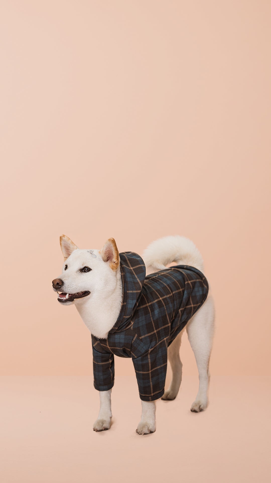 Roupa Pets com Capuz Xadrez – Danka® 8570