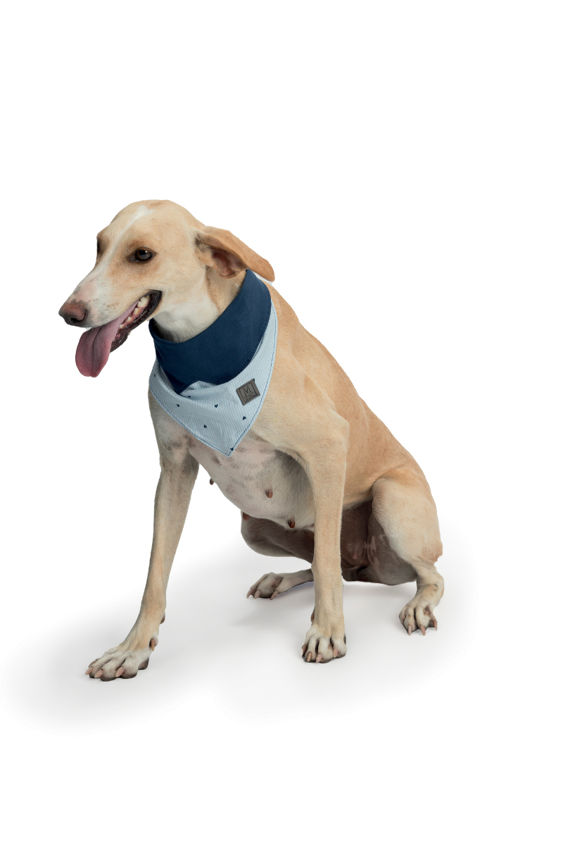 Bandana Meia Malha Onda de Felicidade – Mensageiro dos Sonhos® 0449004