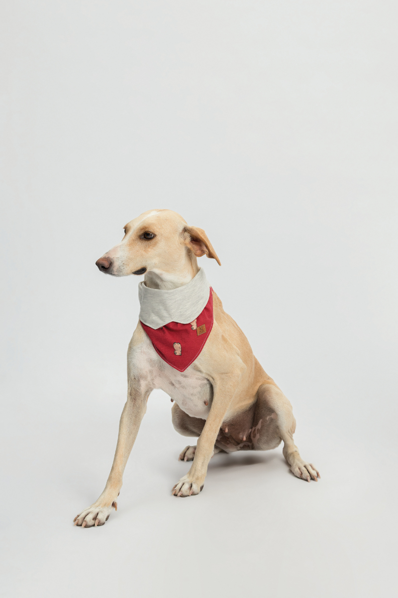 Bandana Meia Malha Natal das Capivaras – Mensageiro dos Sonhos® 449002